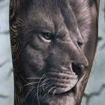 oroszlán tetoválás a borjú lábán - fényképes példa 20122015 -ös számból