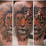 oroszlán tetoválás a borjú lábán - fényképes példa 20122015 -ös számból