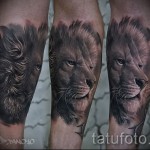 tetoválás a borjú lábán oroszlán - fotó példa 20122015 -ből 9