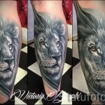 oroszlán tetoválás a borjú lábán - fényképes példa 20122015 -ös számból