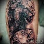 oroszlán tetoválás a borjú lábán - fényképes példa a 20122015 -ös számból