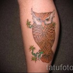 bagoly tetoválás a borjú lábán - fényképes példa a 20122015 -ös számból