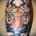 tigrisláb tetoválás - fotó példa 20122015 # 2