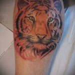 tetoválás a borjú lábán tigris - fotó példa 20122015 № 8