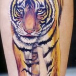 tetoválás a borjú lábán tigris - fotó példa 20122015 № 9