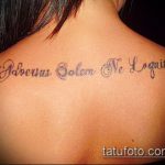 A tetoválás latinul # 657 a rajz hűvös változata, amely jól használható feldolgozásra és tetoválásként történő alkalmazásra latinul az életről