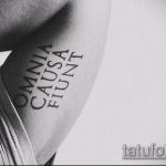 A tetoválás latinul 472. sz. a rajz méltó változata, amely könnyen használható felülvizsgálathoz és tetováláshoz latinul tetoválásként egy családról