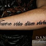 tetoválás latinul № 922 - a minta exkluzív változata, amely sikeresen használható a latin tetoválás átalakítására és alkalmazására a háton lévő nők számára