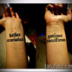 A latin tetoválás # 302 a minta hűvös változata, amely sikeresen használható változtatásra és tetoválásként latin tetoválásra a hátoldalon