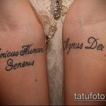 tetoválás latinul # 261 - a minta exkluzív változata, amely jól használható változtatásra és tetoválásra latinul a bordákon