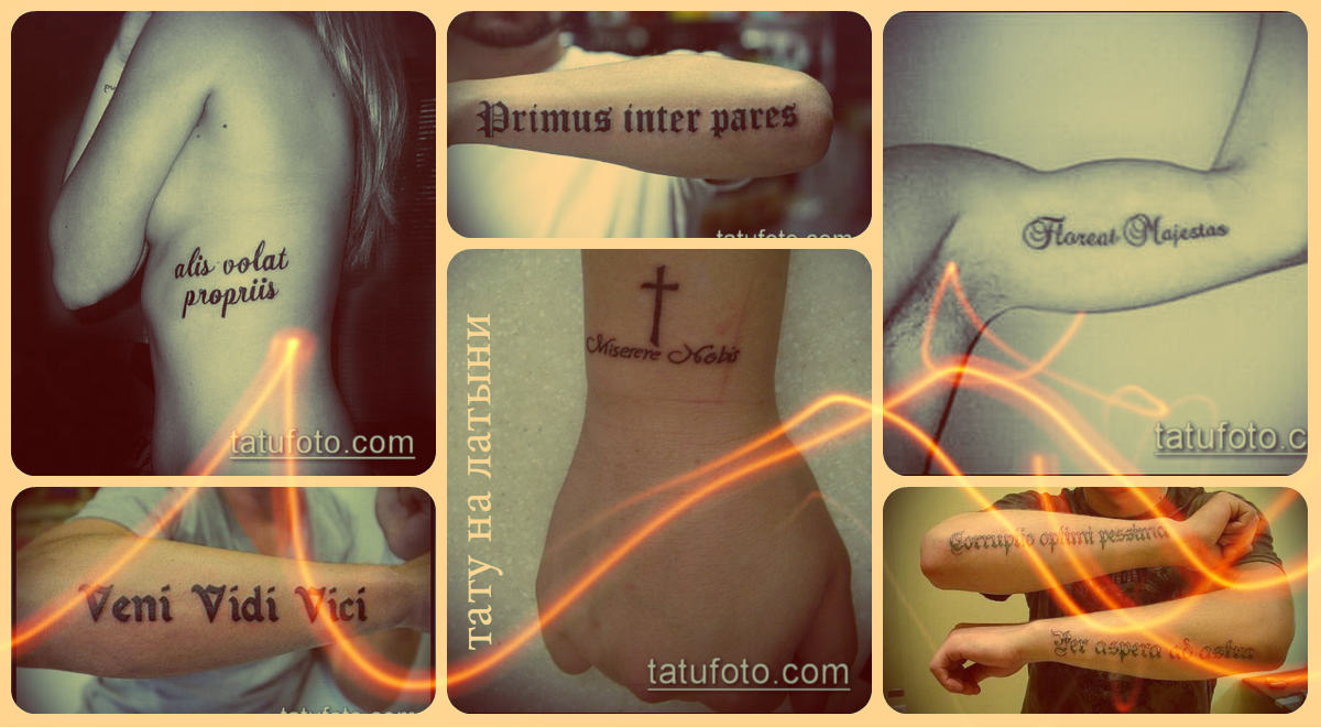 Tetoválás latinul (feliratok) - példák gyűjteménye a kész tetoválásokról a fotón