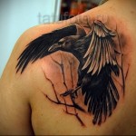 fekete varjú hűvös tetoválásban egy fickó lapockáján