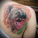 hiéna tetoválás a lapockán