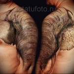 elefánt tetoválás a karon és a lapockán