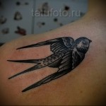 fecske tetoválás a lapockán
