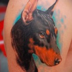 Doberman Pinscher tetoválás a vállán