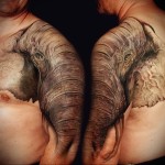 Elefánttetoválás a karon - Férfi váll tetoválás