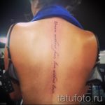 tatu-na-pozvonochnike-risunok-vdol-primer-foto-055-tatufoto-ru