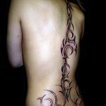 tatu-na-pozvonochnike-risunok-vdol-primer-foto-076-tatufoto-ru