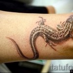 gyík boka tetoválás