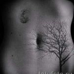 татуировка на мястото на белега от апендицит - снимка пример за завършена татуировка 01092016 3016 tatufoto.ru