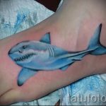 татуировка на крака на акула - снимков пример за завършена татуировка от 23.05.2016 г. 5
