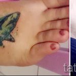 татуировка на крака на акула - снимка пример за завършена татуировка от 23.05.2016 г. 6