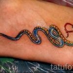 татуировка на крака на змия - снимка пример за завършена татуировка от 23.05.2016 г. 4