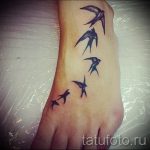 татуировка на крака на лястовица - снимка пример за завършена татуировка от 23.05.2016 г. 3