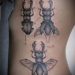 Rovartetoválás - szarvasbogár a lány oldalán - bogár szarvakkal