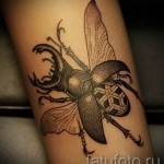 Rovartetoválás a karon