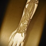 Rovartetoválás - szöcske az egész karon