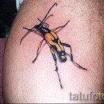 Rovartetoválás - narancssárga, hosszúkás bogár