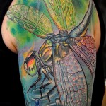 Rovar tetoválás - színes fényes szitakötő az egész karon