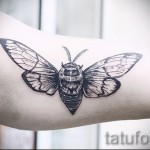 Rovartetoválás - fekete lepke a lány karján