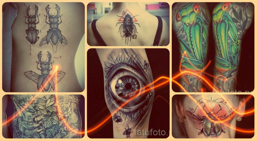 Rovartetováló fotók a kész munkák példáiról