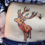 Szarvas tetoválás a hasán