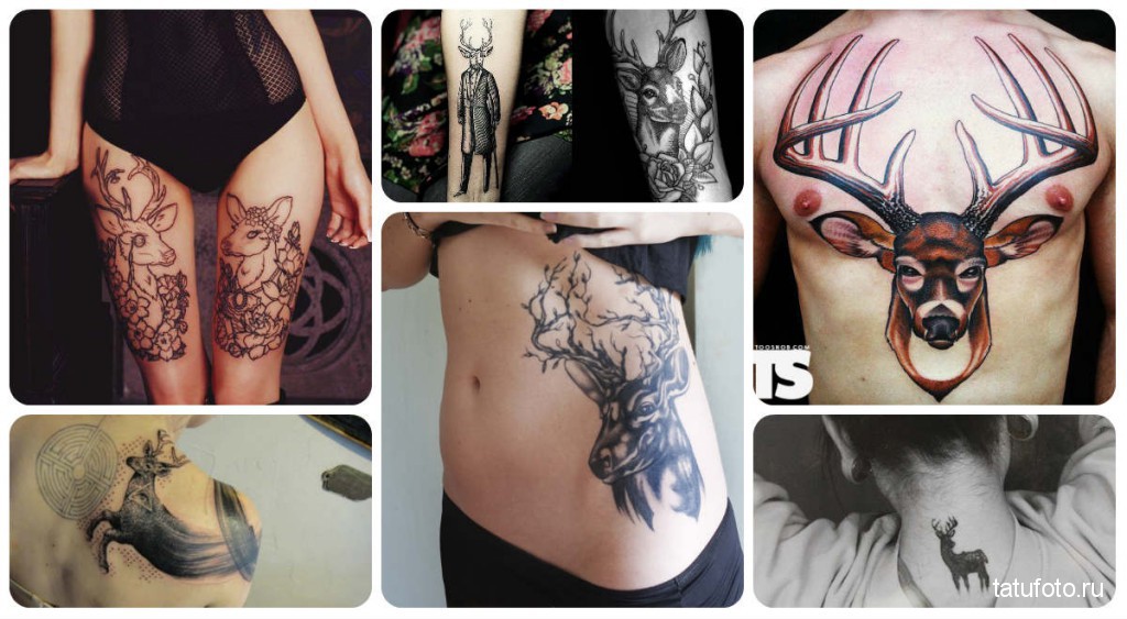 Szarvas tetoválás fotók kész munkákról a testen - a legjobb mesterektől