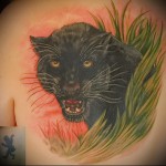 párduc a fű tetoválásában