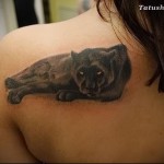 párduc tetoválás az oldalán