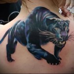 párduc tetoválás a lapockák között