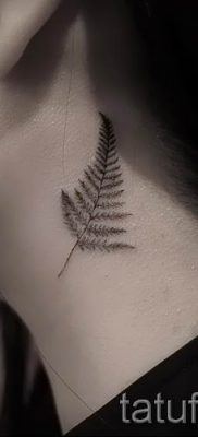 Hűvös páfrány tetoválás a fotón - egy cikk a tetoválás jelentéséről 63