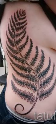 Hűvös páfrány tetoválás a fotón - egy cikk a tetoválás 62 jelentéséről