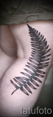 Hűvös páfrány tetoválás a fotón - egy cikk a tetoválás 61 jelentéséről