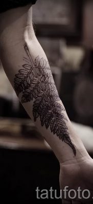 Hűvös páfrány tetoválás a fotón - egy cikk a tetoválás 60 jelentéséről