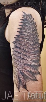 Hűvös páfrány tetoválás a fotón - egy cikk a tetoválás jelentéséről 59