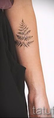 Hűvös páfránytetoválás a fotón - egy cikk a tetoválás jelentéséről 56