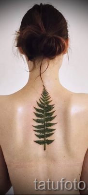 klassnaya-tatu-paporotnik-na-foto-dlya-stati-pro-znachenie-tatuirovki-053-tatufoto-ru