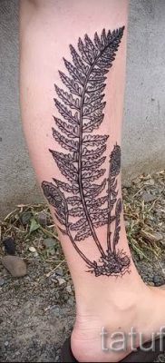 Hűvös páfrány tetoválás a fotón - egy cikk a tetoválás 51 jelentéséről