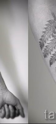 Hűvös páfrány tetoválás a fotón - egy cikk a tetoválás 50 jelentéséről